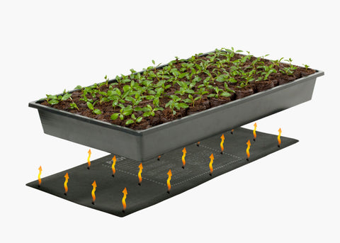 Germination Station w/Heat Mat, Tray, 72-Cell Pack, 2" Dome