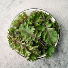 Freshly harvested Scarlet kale leaves with purple stems in a white bowl on a grey stone surface.