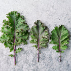 Three Scarlet kale leaves with frilled green edges and purple stems laid out on a grey stone surface.
