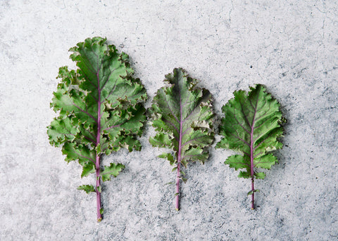 Scarlet - Kale Seeds