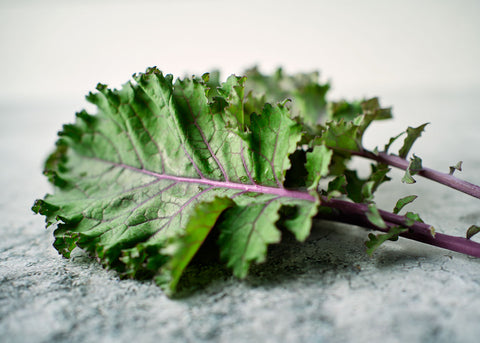 Scarlet - Kale Seeds