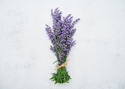 Lavender - Herb Seeds - Organic