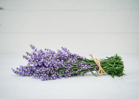 Lavender - Herb Seeds - Organic