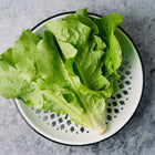 Fresh Buttercrunch lettuce leaves in a patterned white and green colander on a grey stone surface.