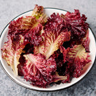 Fresh Lollo Rossa lettuce leaves with frilled burgundy edges in a white bowl on a gray surface.