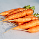 A cluster of freshly harvested, bright orange Little Fingers carrots with green tops arranged on a light grey surface.