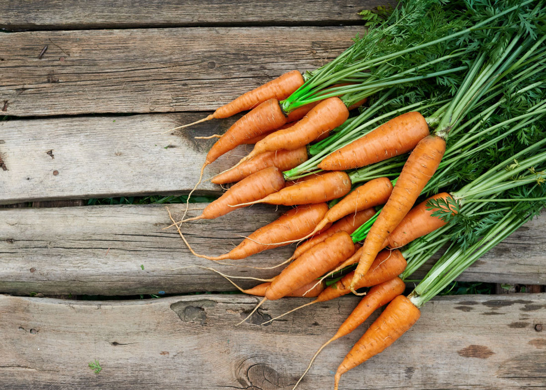 Little Fingers - Carrot Seeds - Organic
