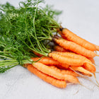 A bunch of freshly harvested Little Fingers carrots with bright orange roots and green leafy tops on a white surface.