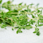 Fresh sprigs of Sweet Marjoram with small, gray-green leaves resting on a textured white surface.