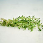 Freshly harvested Sweet Marjoram stems with small, gray-green leaves lying on a textured white surface.