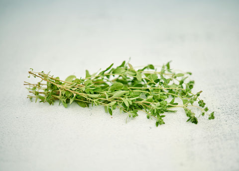 Sweet Marjoram - Herb Seeds