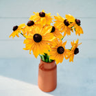 Bouquet of golden-orange Marmalade rudbeckia flowers with dark centers in a terracotta vase on a white surface.