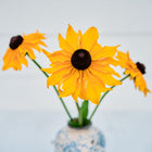 Three golden-orange Marmalade rudbeckia flowers with dark centers in a small vase against a white background.