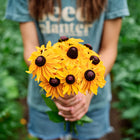 Person holding a fresh bouquet of golden-orange Marmalade rudbeckia flowers with dark centers in a garden.