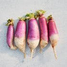 Five harvested Nabo Roxo Comprido turnips with elongated purple shoulders and white tapered roots on a grey surface.