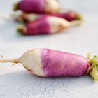 Elongated Nabo Roxo Comprido turnips with purple shoulders and white tips resting on a light surface.