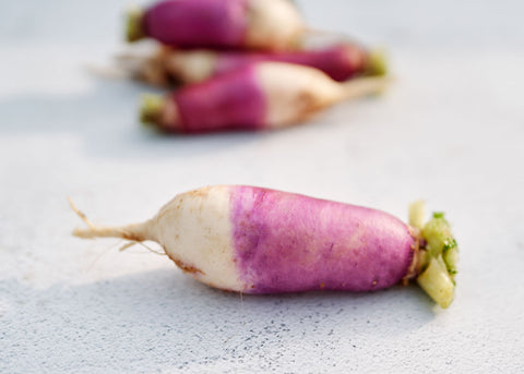 Nabo Roxo Comprido - Turnip Seeds