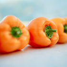A row of vibrant, blocky Orange Sun sweet peppers with green stems resting on a light surface.