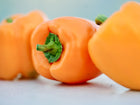 Three vibrant Orange Sun sweet peppers with smooth, glossy skin and green stems on a light surface.