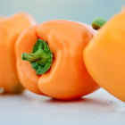 Three vibrant Orange Sun sweet peppers with smooth, glossy skin and green stems on a light surface.