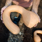Hands holding a tan, curved Pennsylvania Dutch Crookneck winter squash over dark garden soil.