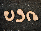 Three tan Pennsylvania Dutch Crookneck winter squash with curved necks lying on dark garden soil.