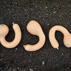 Three tan Pennsylvania Dutch Crookneck winter squash with curved necks lying on dark garden soil.