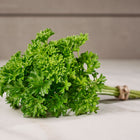A bundle of Forest Green parsley with densely curled, vibrant green leaves tied with twine on a marble surface.