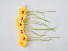 Creamy yellow Peach Melba nasturtium flowers with orange-red centers and green stems arranged on a white textured surface.