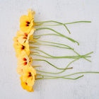 Creamy yellow Peach Melba nasturtium flowers with orange-red centers and green stems arranged on a white textured surface.