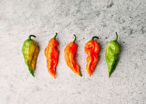 ghost pepper plant seeds Bhut Jolokia Ghost