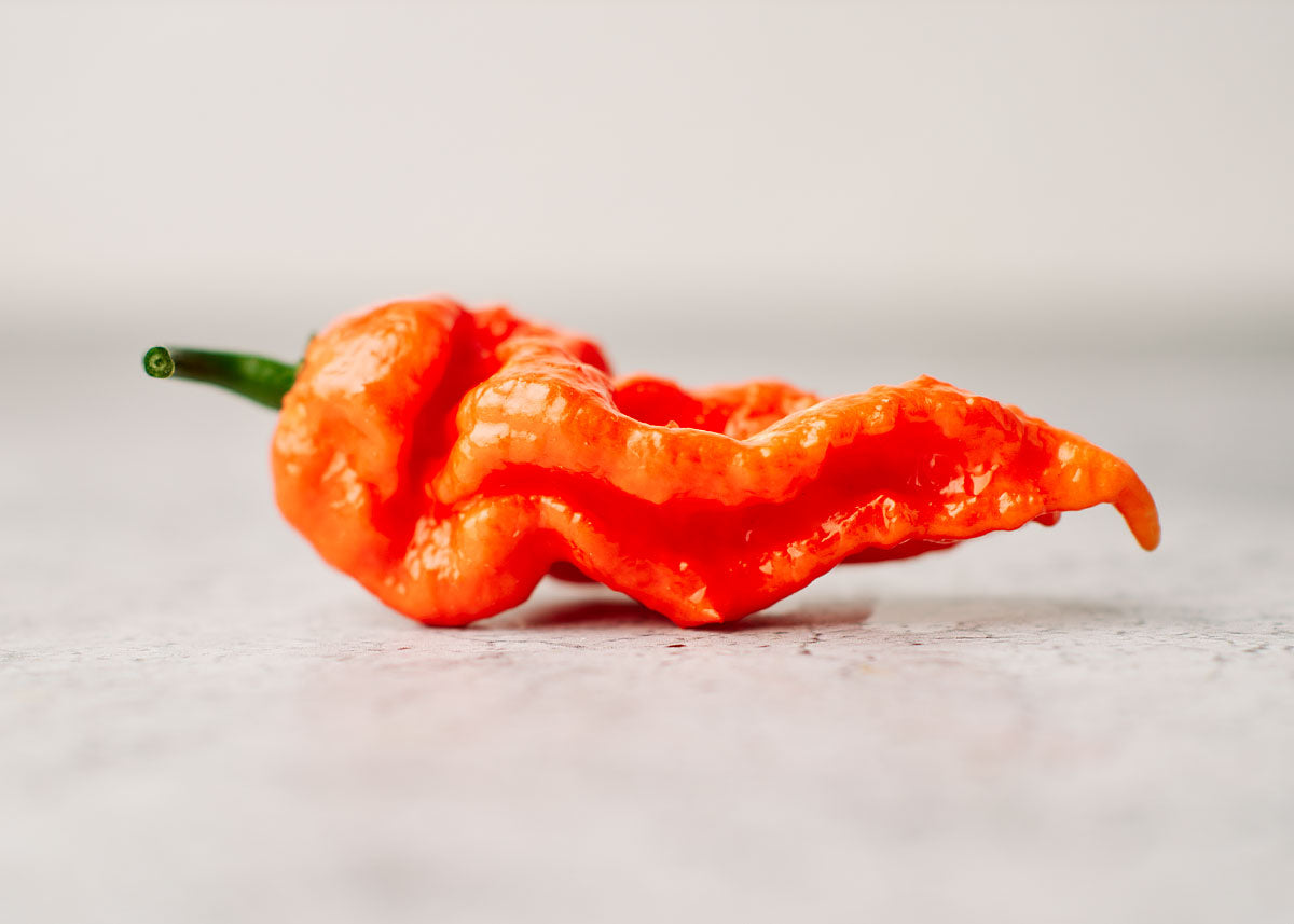 Bhut Jolokia Ghost - Hot Pepper Seeds