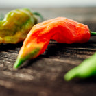 Wrinkled red and green Bhut Jolokia Ghost peppers resting on a dark, rustic wooden surface.