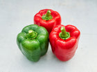 Two red and one green California Wonder bell peppers with water droplets on a light gray surface.