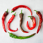 A collection of long, slender Hot Portugal peppers in shades of red, green, and dark brown on a textured white surface.