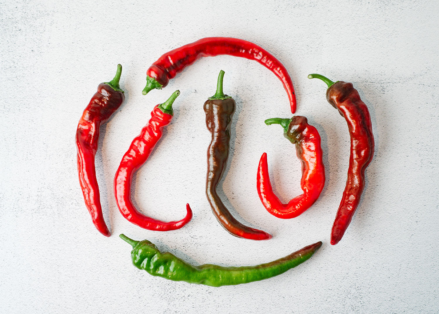 Hot Portugal - Hot Pepper Seeds - Organic