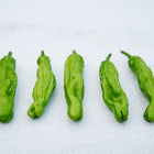 Five slender, wrinkled green Shishito peppers arranged in a row on a light textured surface.