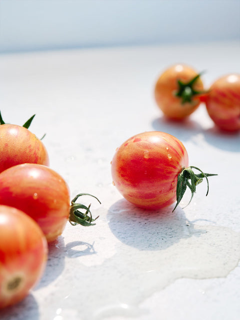 Meet Your New Favorites