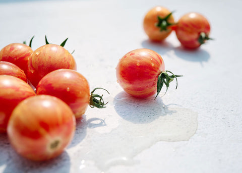 Meet Your New Favorites