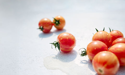 Meet Your New Favorites