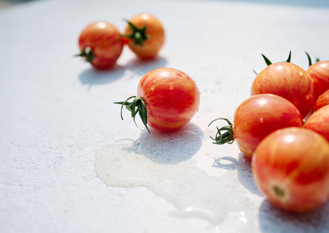 Healing, sustenance, beauty – it all starts with a single seed.