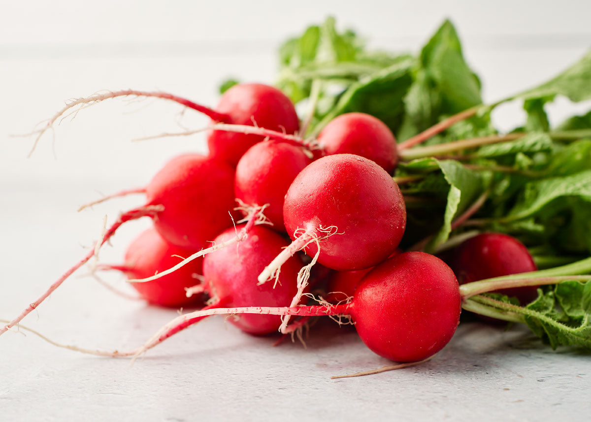 Cherry Belle - Radish Seeds - Organic