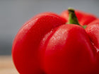 Close-up of a ripe, red Sheepnose Pimento pepper with water droplets on its smooth, tomato-shaped skin.