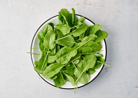 Large Leaf - Sorrel Seeds