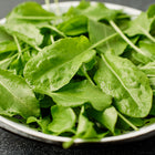 Fresh Large Leaf sorrel greens with broad, bright green leaves piled in a white enamel colander.