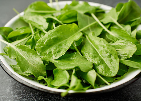 Large Leaf - Sorrel Seeds