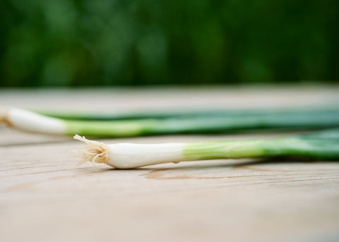 Tokyo Long White Bunching - Onion Seeds - Organic