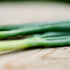 Freshly harvested Tokyo Long White bunching onions with green stalks on a wooden surface.