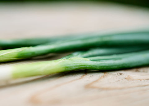 Tokyo Long White Bunching - Onion Seeds - Organic