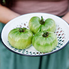 Three Aunt Ruby's German Green tomatoes in a white enameled colander held by a person.